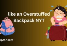 like an overstuffed backpack nyt